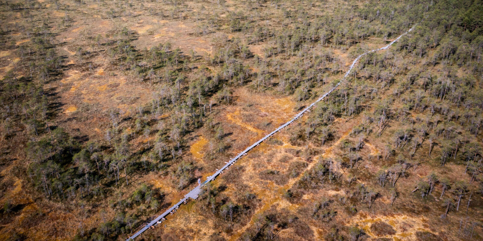 Linnaistensuon ulkoilualue.