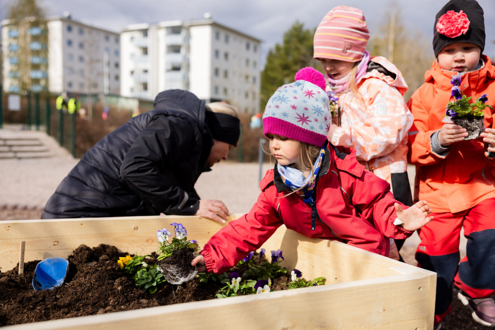 Laatikkoviljelyä Jalkarannan päiväkodissa